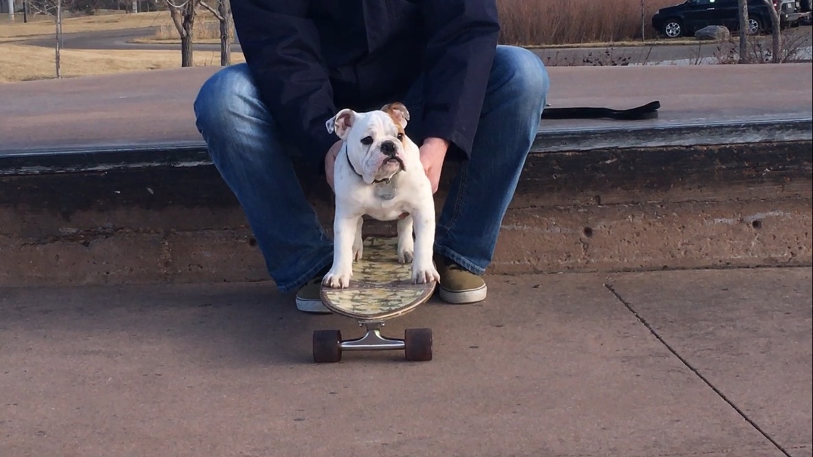 on the board